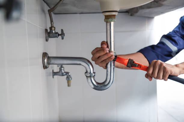 Best Plumbing Services Near Me  in Western Springs, IL